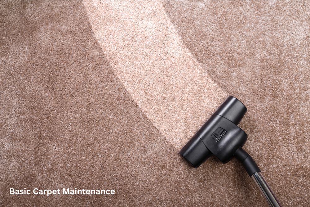 Carpet cleaning | Shelley Carpets