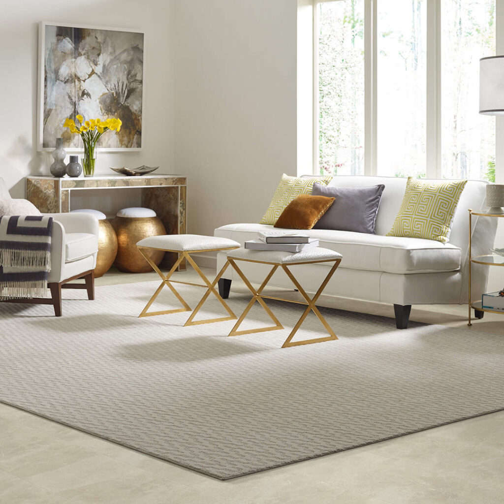 Area Rug | Shelley Carpets
