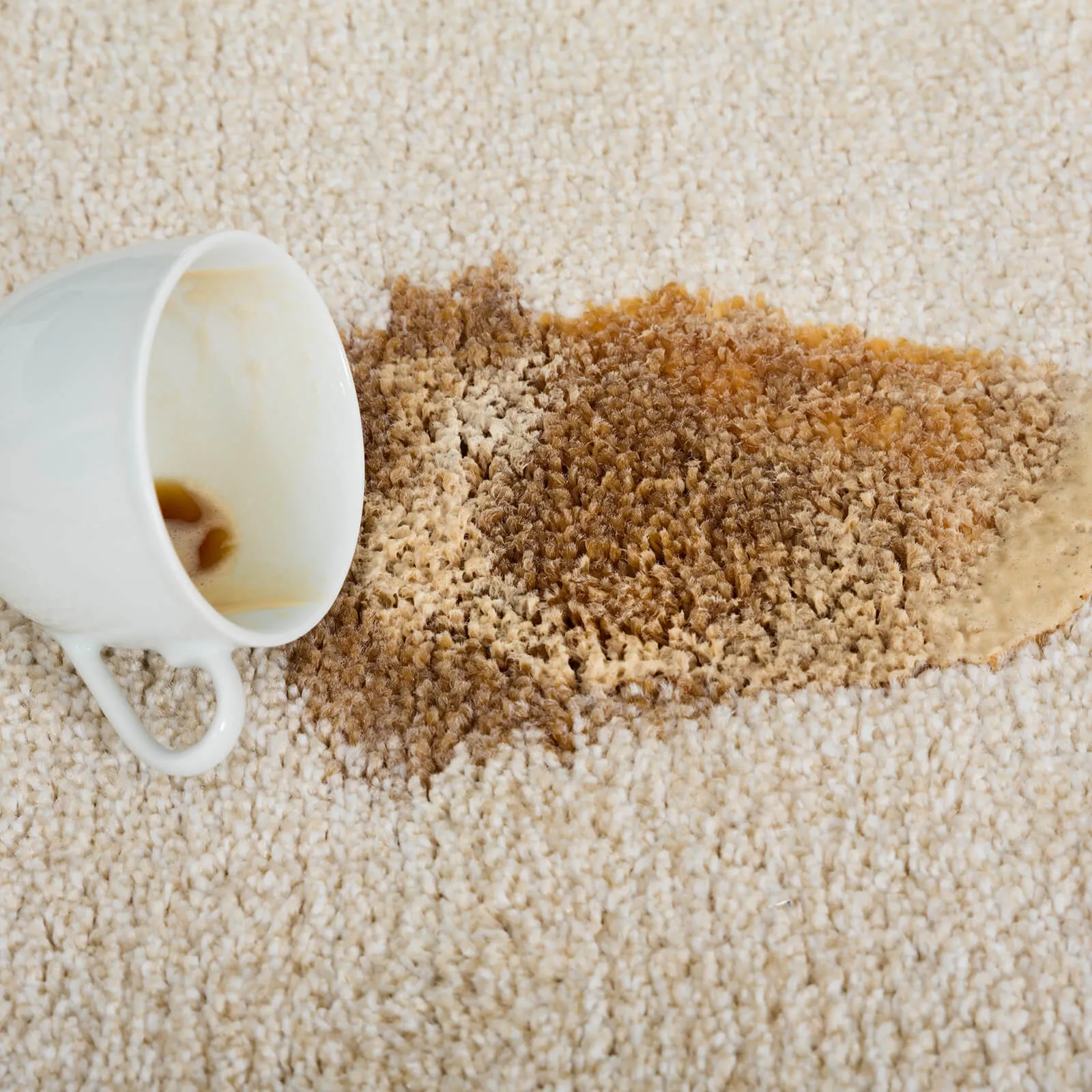 Carpet care | Shelley Carpets